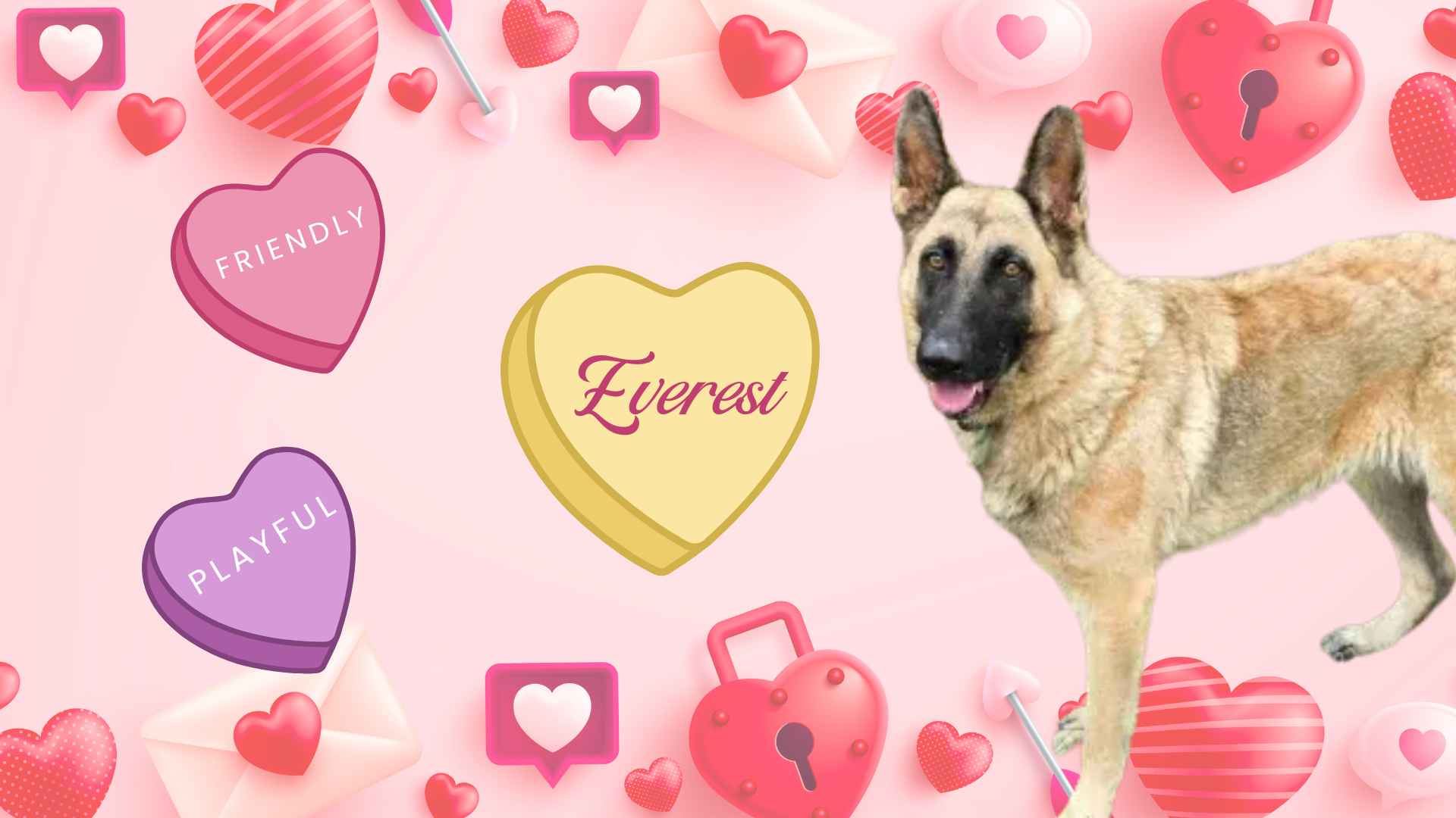 Will you be my Valentine?