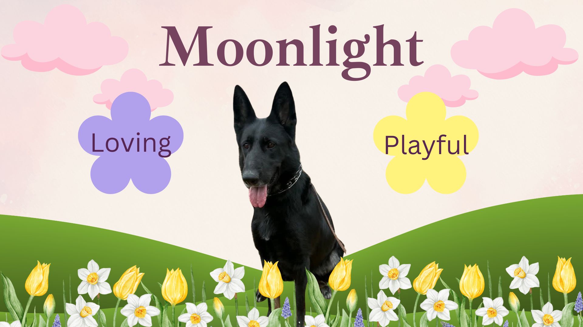 Moonlight is our DOTM!