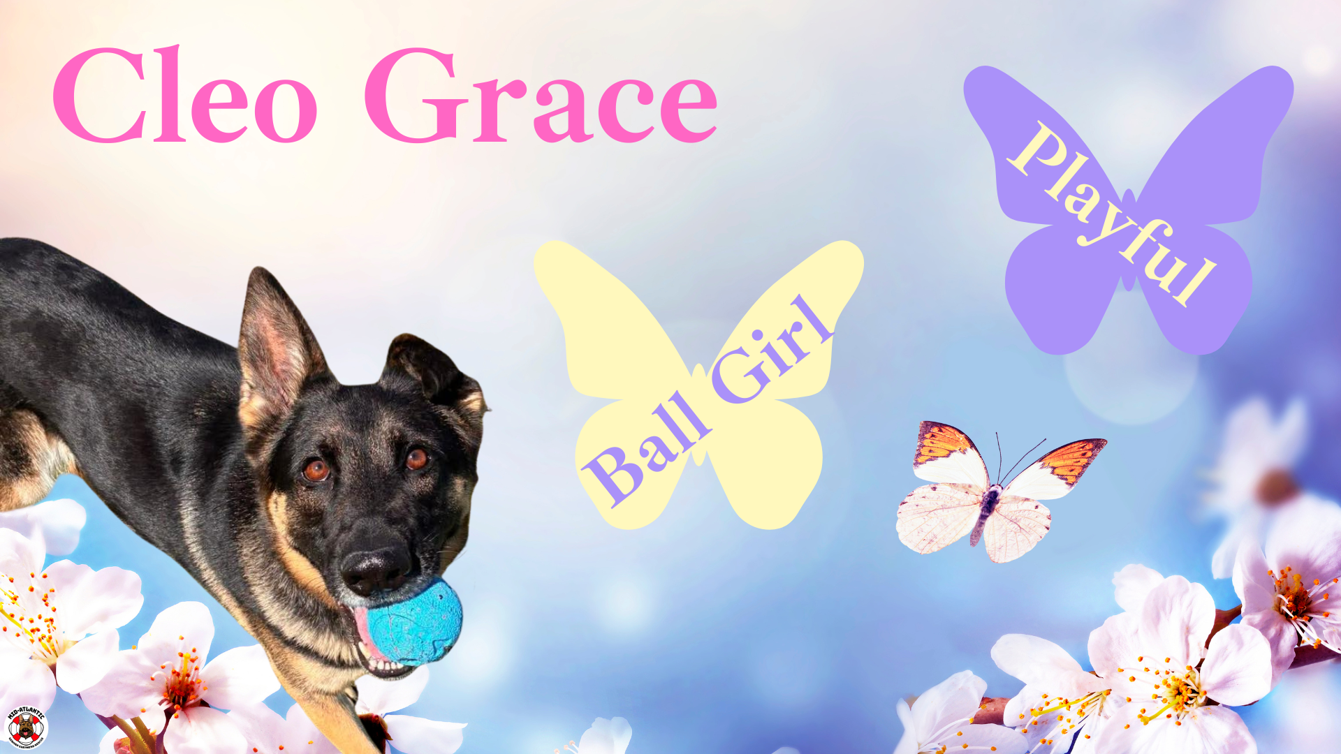 Cleo Grace is Ready for Her New Home