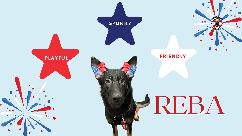 Reba is the Dog of the Month! :)