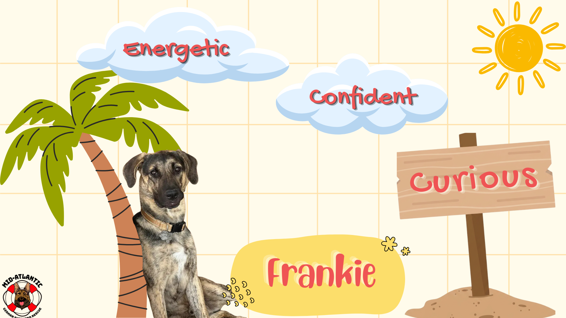 Frankie is MAGSR's Dog of the Month!