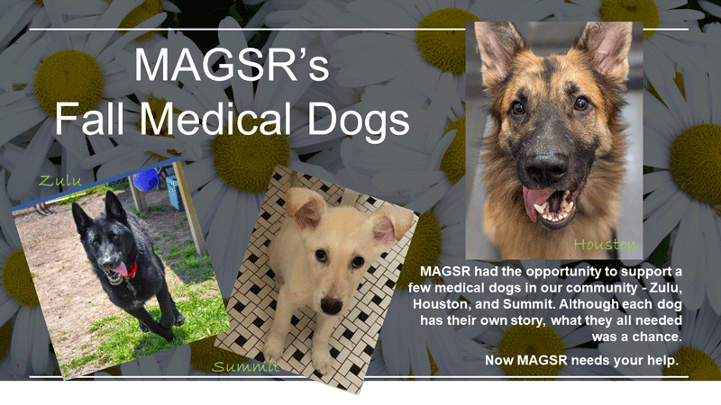 Please dnoate now th e the MAGSR Medical Drive