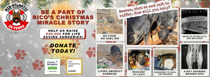 Be part of Rico's Christmas Miracle!