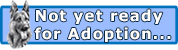 I'm not quite ready for adoption yet but check back soon!