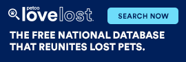 Use LoveLost to search for a lost pet or report a found one.