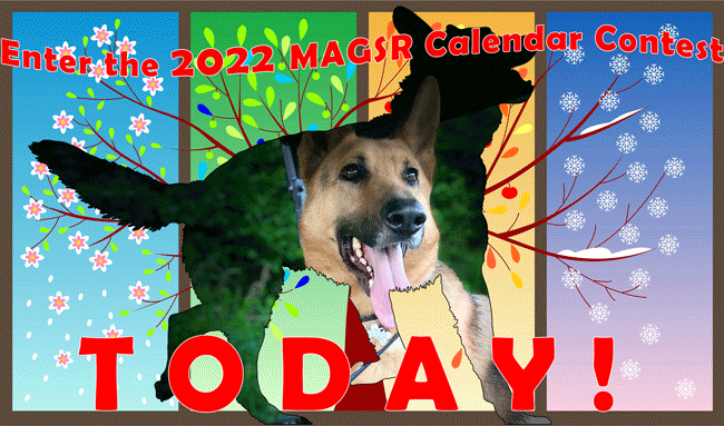 Enter the 2022 MAGSR Calendar Contest TODAY!