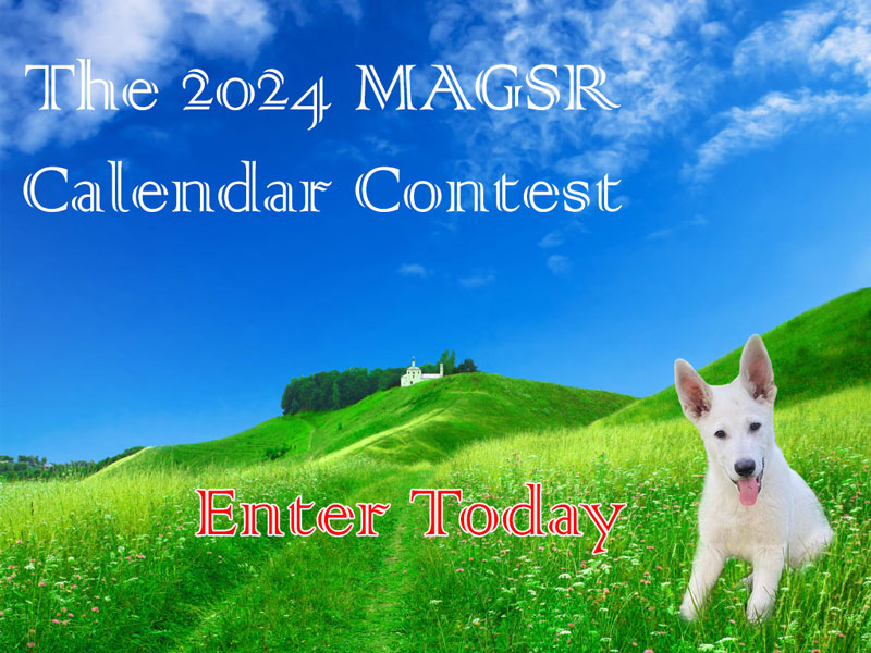 Enter the MAGSR Calendar Contest TODAY!