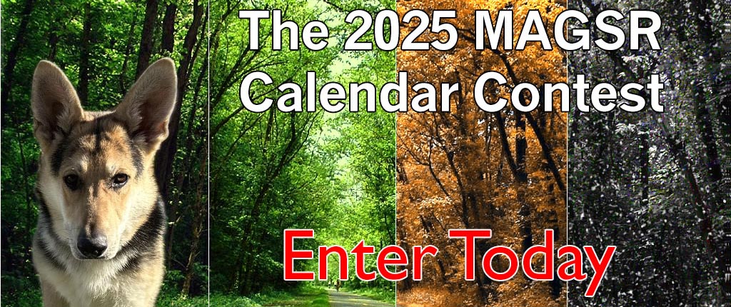 Enter the 2025 MAGSR Calendar Contest TODAY!