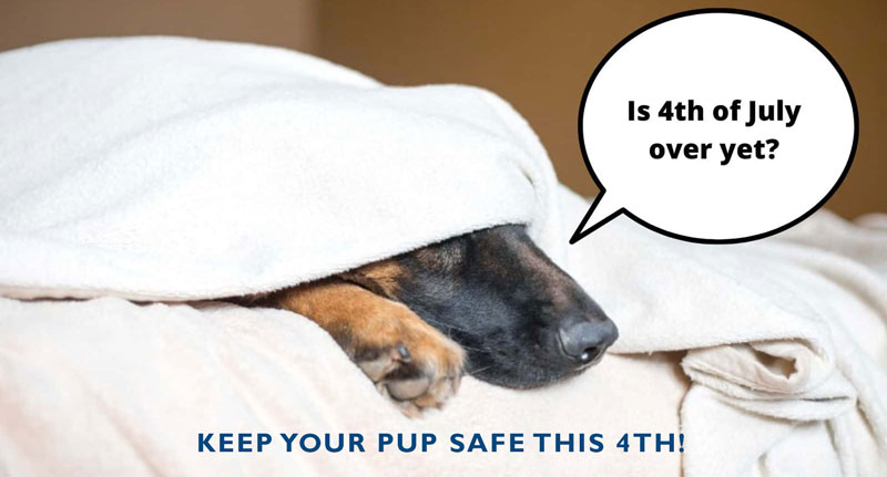 Keep your pup safe this 4th