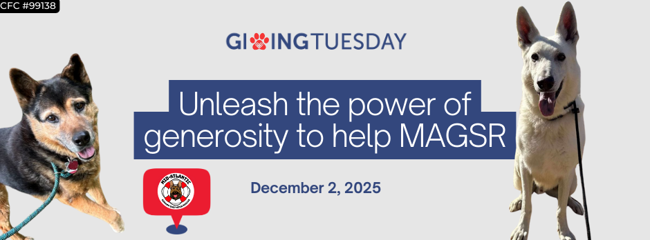 Giving Tuesday is 12/2/25!
