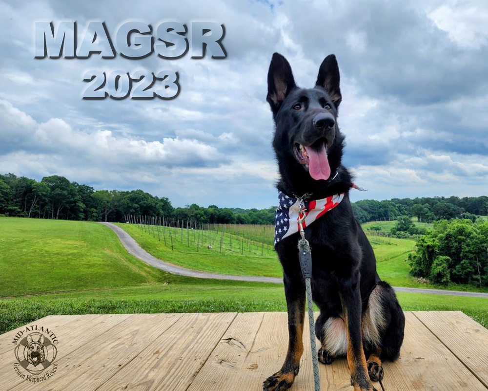 Order your 2023 MAGSR Calendar TODAY!