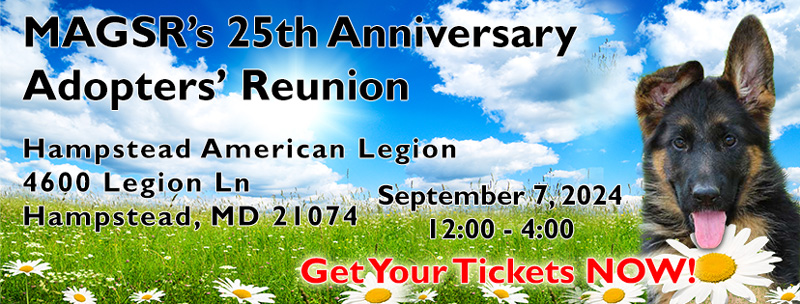 Order your 2024 MAGSR Adopters Reunion Tix TODAY!