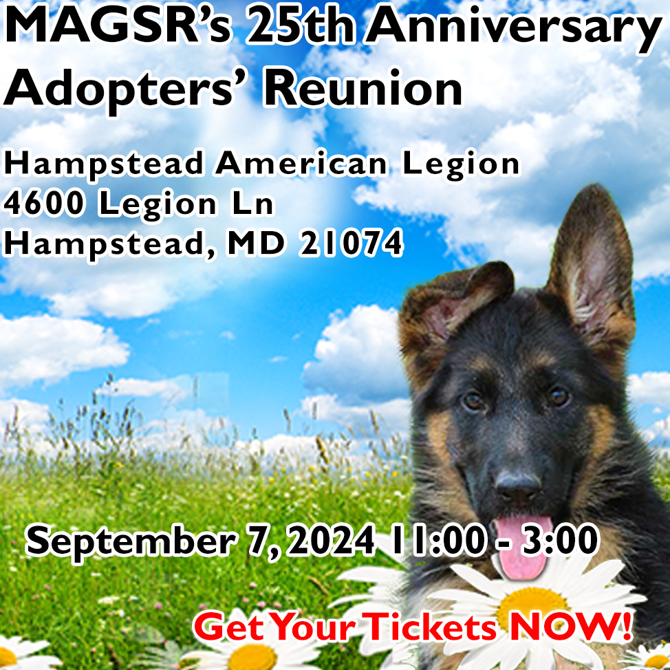 Join MAGSR at the 25th Anniversary Adopters Reunion!