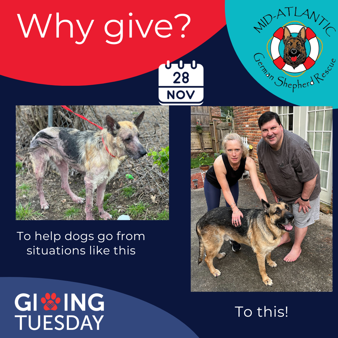 Giving Tuesday is 11/28/23