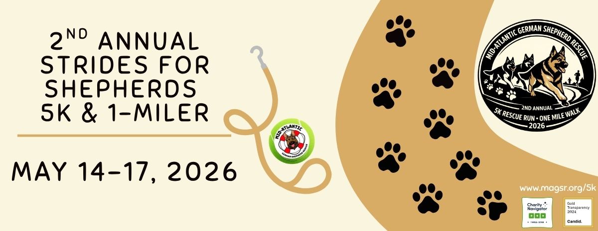 Sign up tp Stride for Shepherds!