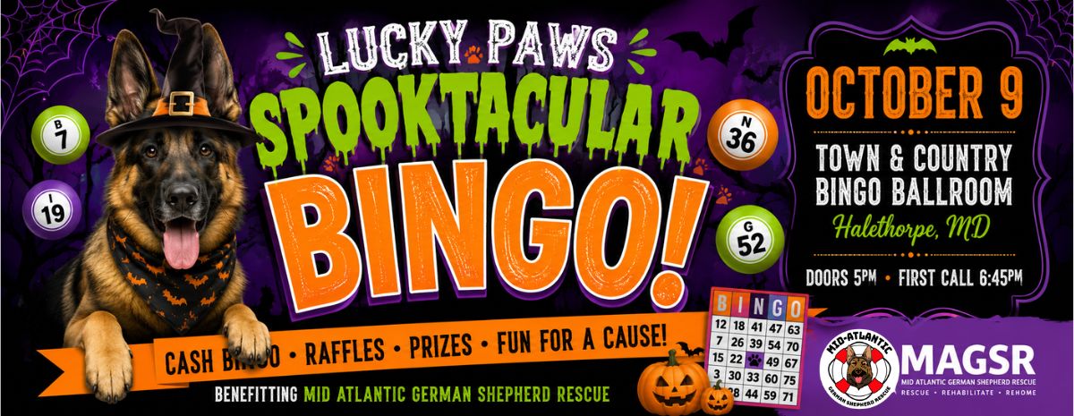 Join the MAGSR pups for a fun night of BINGO!!! 