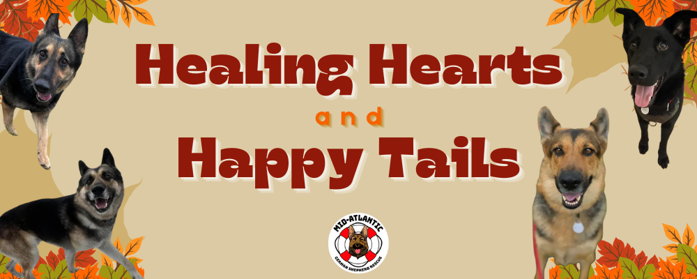 We need your help to Heal some Hearts💕