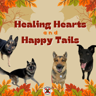 We need your help for Healing Hearts 💕