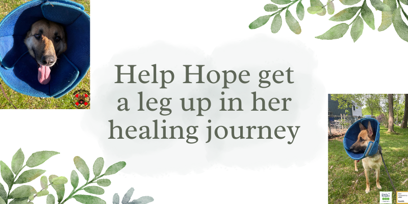 Help Hope Heal