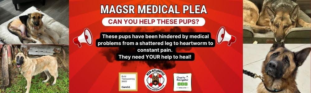 Please help us weather the Perfect Storm