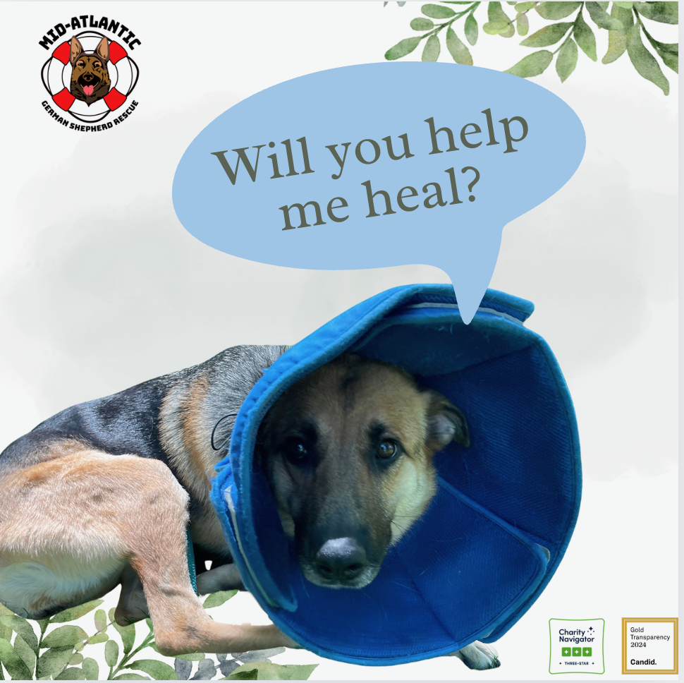 Help Hope Heal