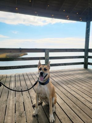 Kanyon (fka Skipper)