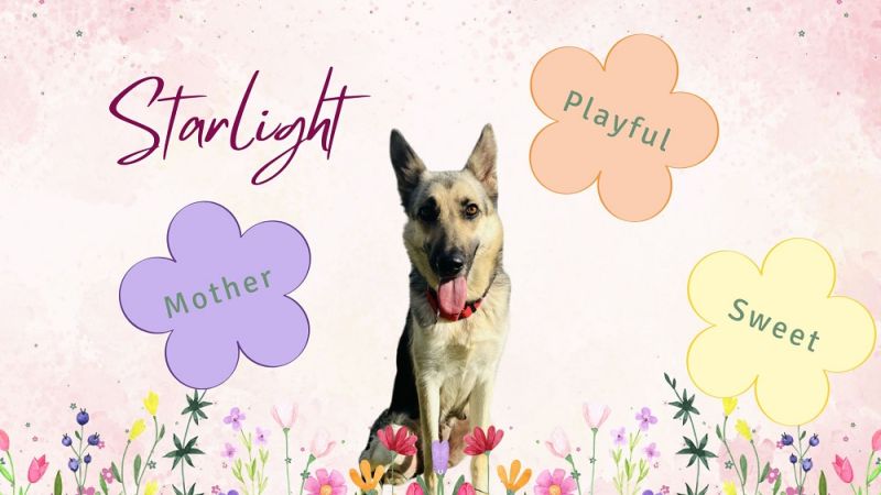 Starlight is our DOTM!