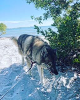 Day at the Beach 🏝️