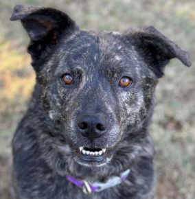 Hi!  I’m adorable and smiling! 