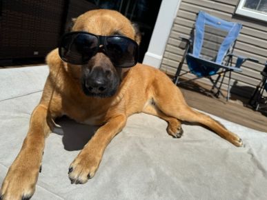 Freyja's favorite motto: "Chill Vibes Only"