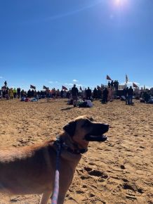 Be Bold and Get Cold. Freyja is supervising the Special Olympics Polar Plunge 2023. 
