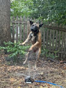 Gordon having fun with the sprinkler! 