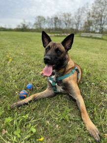 Gordon and his favorite balls