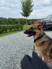 Hans loves the lake