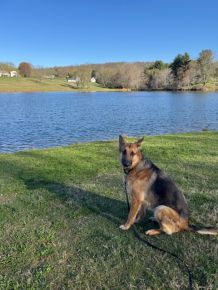 “Hans loves the lake” 