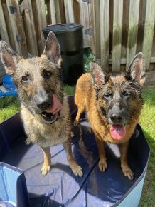 It’s summer y’all! We love keeping cool in our pool.