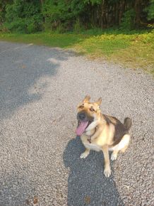 Josie Enjoying her Daily (x3) Park Walk