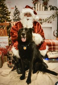 Luna with Santa