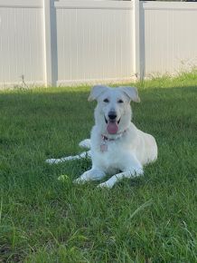 Tongue out Tuesdays