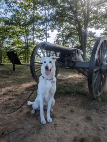 Meadow visits Gettysburg