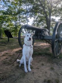 Meadow visits Gettysburg