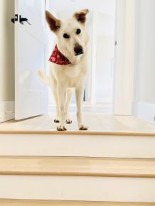Murphy calendar entry2