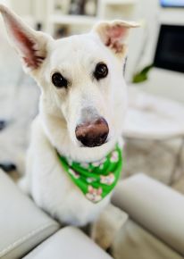 Murphy calendar entry4