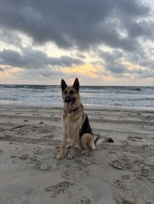 OBX Summer fun 2025
