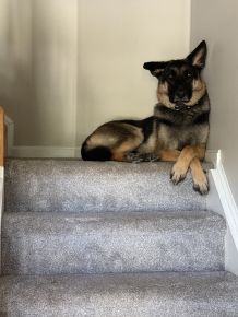 I am the King of this house and no one passes me unless I allow it.