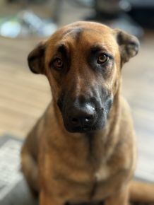 Tasha was slightly concerned about being asked to pose but aims to please! 