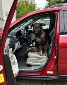 Ready?  I'll drive.