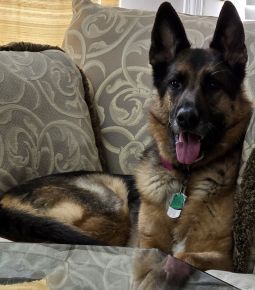 Zoey on her throne calendar entry