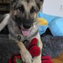 Rosco