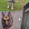 Ryder with his sister